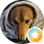 Ravanel Lenavar Avatar